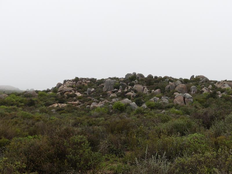 0 Bedroom Property for Sale in St Helena Views Western Cape